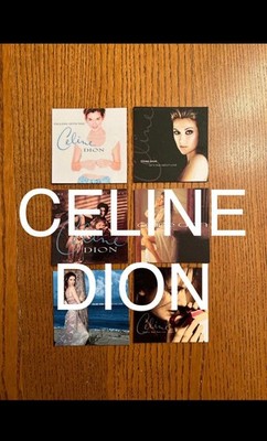 Celine Dion fridge magnets