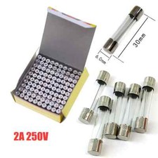 100 Pcs Fast-Blow Fuse .2A 250V Glass Fuses 6 x 30 mm .2 amp  US Ship