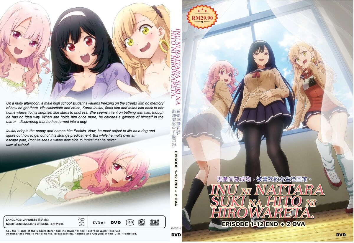 DVD ANIME INU NI NATTARA SUKI NA HITO NI HIROWARETA VOL.1-12 END*UNCUT*