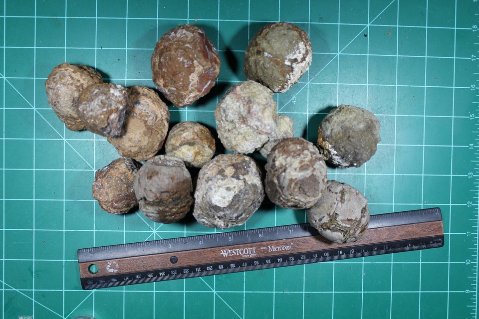 4+ Lb box of medium to small whole Thunder eggs thunder eggs eBay