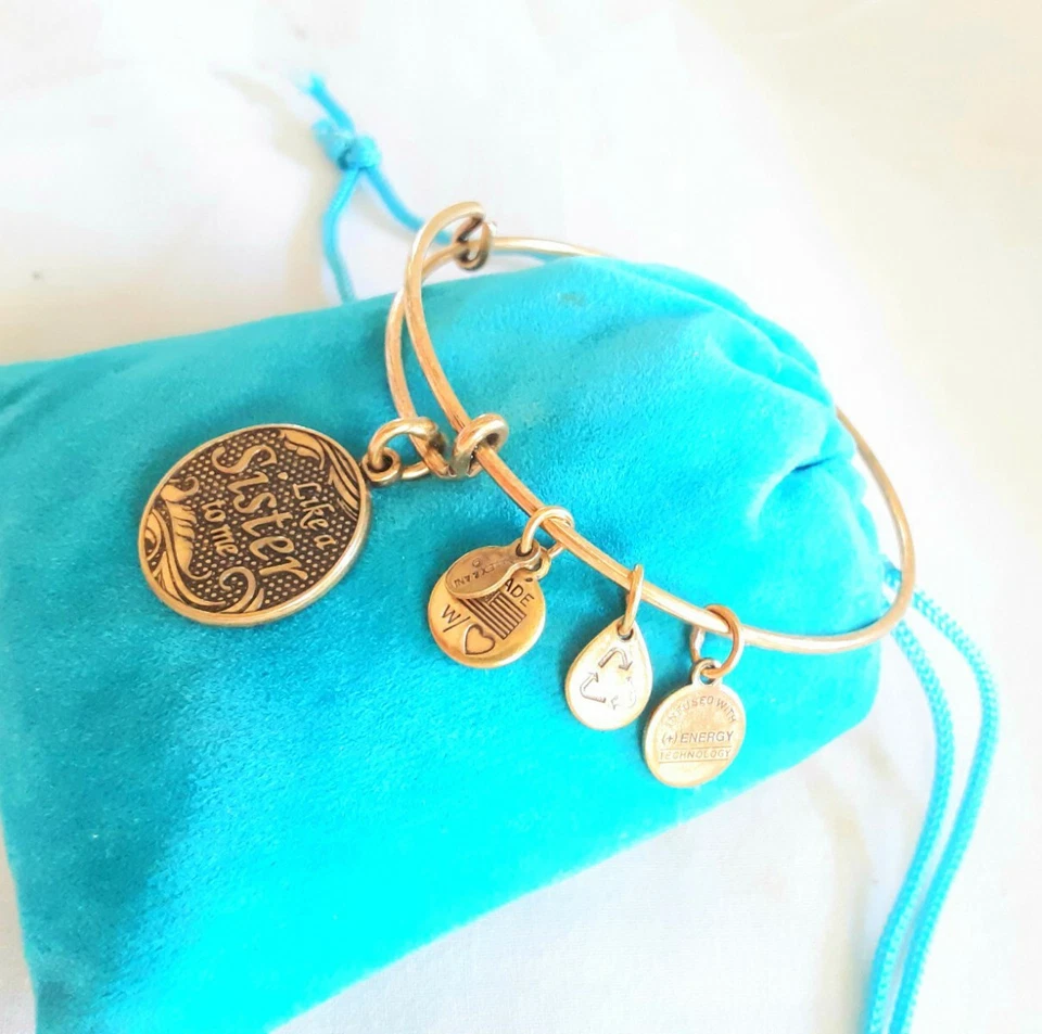 Alex & Ani "LIKE A SISTER TO ME" Berloque Pulseira de Ouro Expansível Nova Com Etiqueta - Imagem 2 de 3