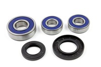 Radlager Satz 25-1269 Hinten FüR Suzuki GSF 1200 Bandit GSX Gsxr 1100 RF SV 650