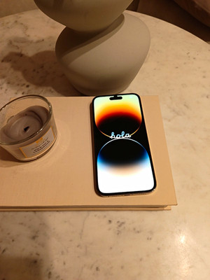 Apple iPhone 14 Pro Max Smartphone 256 GB iOS Modell A2894 Farbe Gold