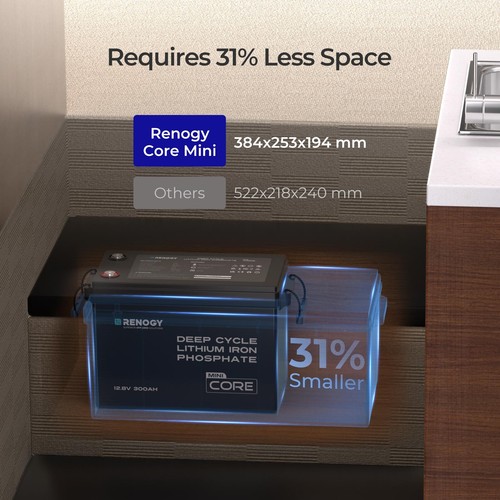 Renogy 100/200/300Ah 12V LiFePO4 Lithium Leisure Battery or Battery Monitor - Picture 28 of 32