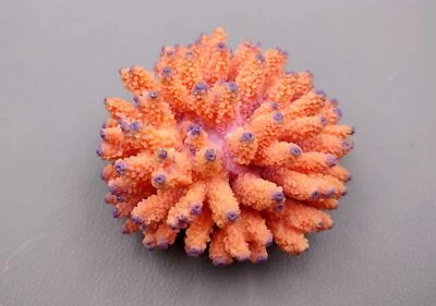 SEA SHELL EMPORIUM Orange Faux Finger Coral (1 Faux Coral approx. 4Wx3Tx4D inches)