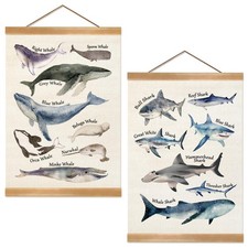 Sharks and Whales Posters, Sea Animals Shark Posters Wall Art, Educational Po...
