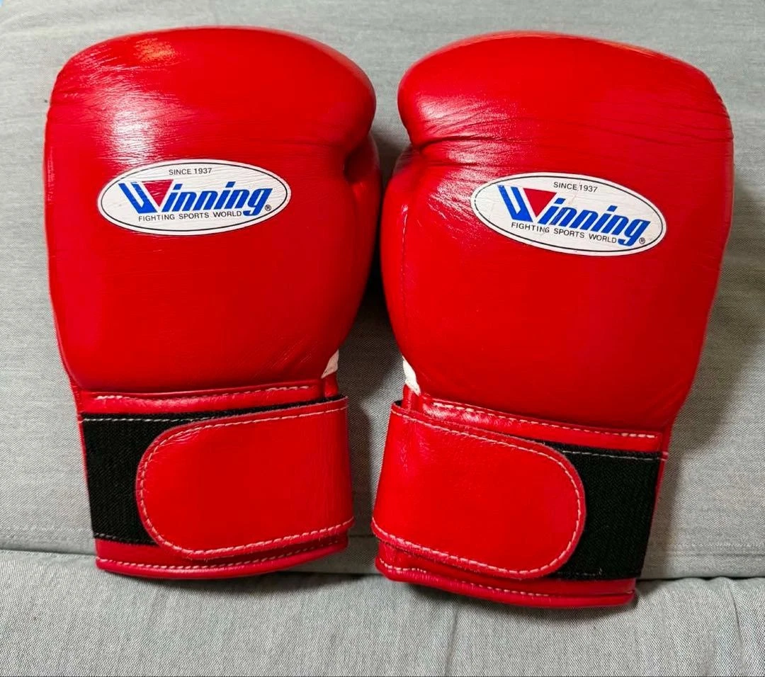 Winning 10 oz. Weight Boxing Gloves for sale | eBay