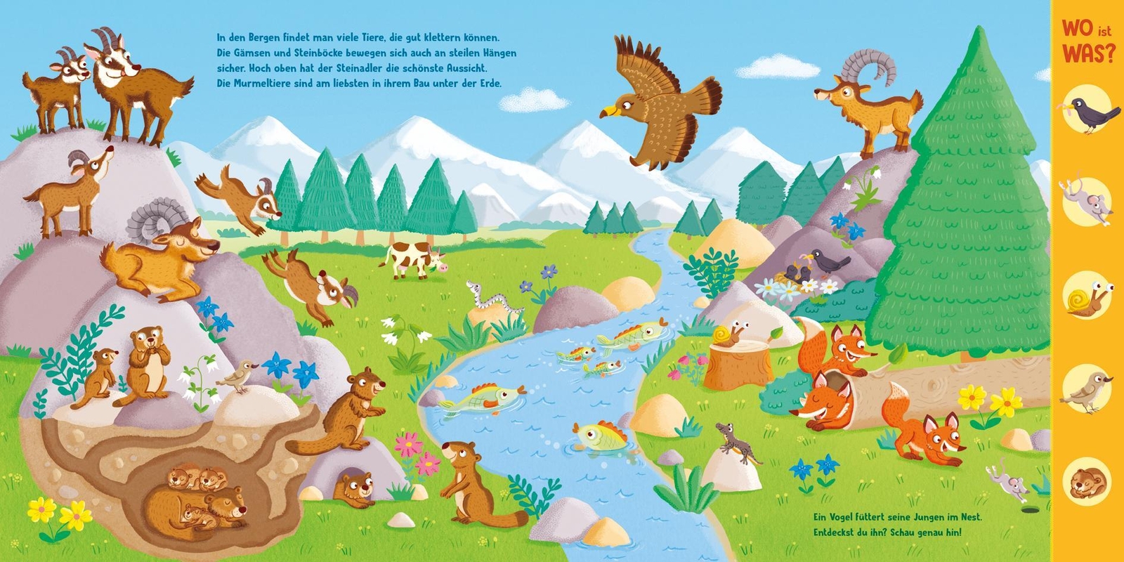 Thumbnail - Wo Ist Was? Kunterbunte Welt Der Tiere. Pappebuch Für Kinder Ab 18