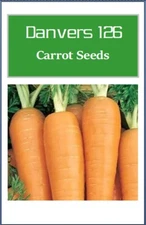 Danvers Carrot Seeds: Heirloom Non-GMO Vegetable Seeds