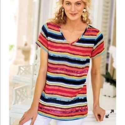Soft Surroundings Colorista Sequin Stripe V Neck Short Sleeve Top Nautical L
