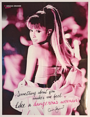 Ariana Grande / Lisa & Lena 2017 BRAVO German XL Poster RARE 55 x 41 cm Singer
