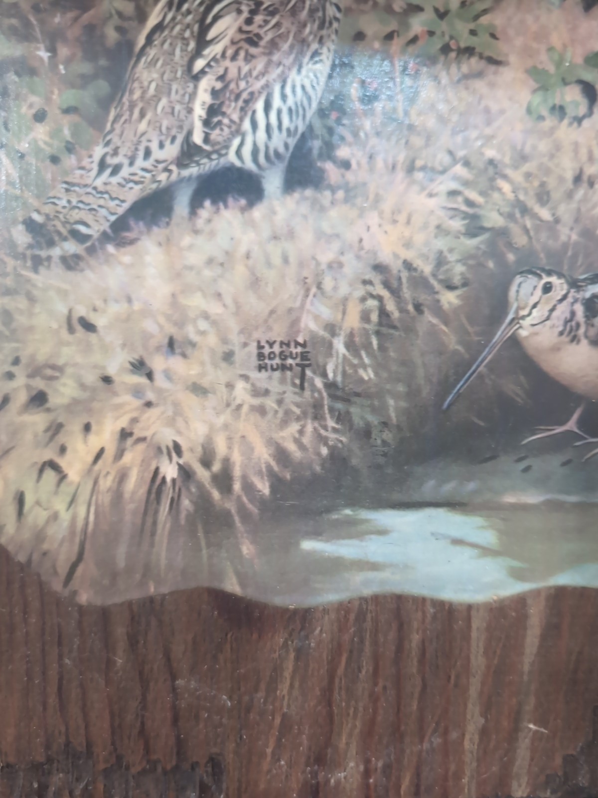 Picture 2 of 7