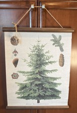 World Market Pine Tree  Abies Nordmanniana  Wall Hanging Pinecone NWT