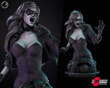 BLACK CANARY Bust DC Justice League Flash Arrow Resin Model Kit B3DSERK