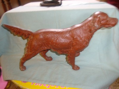 irish setter pointing