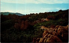 Vintage Black Hills South Dakota The Needles Postcard