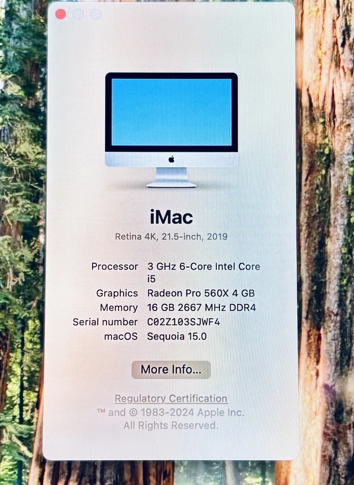 Apple iMac 21.5" 2019 4k retina i5 16GB 500GB SSD MONTAJE VESA SIN SOPORTE - Bueno Foto 2 de 4