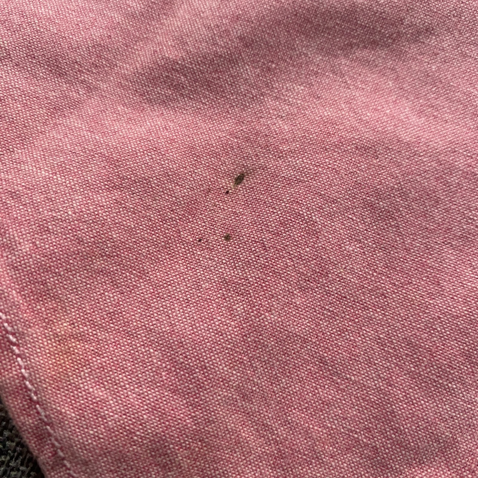 Ralph Lauren camicia manica corta con bottoni uomo 10 rosa (corral) carne pony