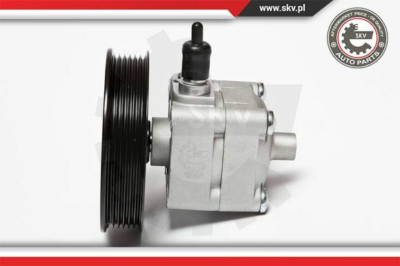 Esen SKV Servopumpe Passend FüR Volvo XC90 I 275 S80 TS XY 10SKV033-image