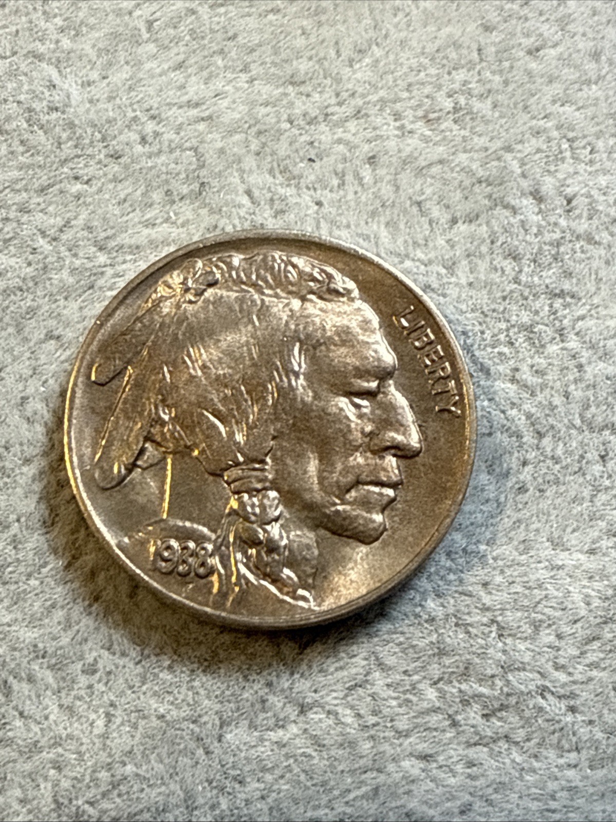 Picture 1 of 13