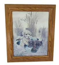 Lab Puppies Duck Hunting Print Solid Oak Frame 