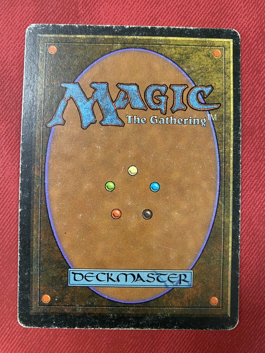 マジック：ザ・ギャザリング Savannah LEB signed マジック：ザ・ギャザリング Savannah LEB signed MTG Savannah