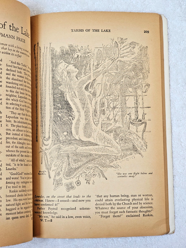 Weird Tales Pulp Magazine Feb 1934 VG Brundage Sapphire Goddess Robert E. Howard - Picture 19 of 24