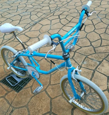 diamondback riptile bmx