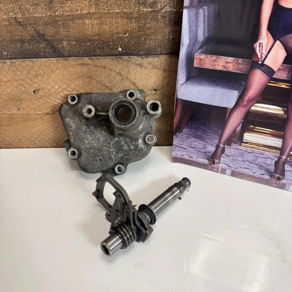 Cubierta del eje de la palanca de cambios del motor Busa 1999-2007 Suzuki Hayabusa GSX1300 gsx 1300 Foto 3 de 4