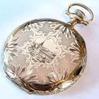 G85 SPECTACULAR SOLID 14k GOLD WALTHAM MODEL 1894 ANTIQUE POCKET WATCH!