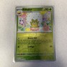 ELDEGOSS - 11/142 Uncommon Stellar Crown Pokemon Reverse Holo NM