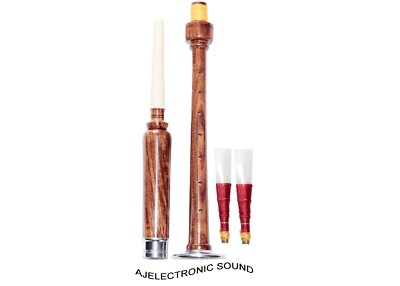 NEW LEARN TO PLAY BAGPIPES PRACTICE CHANTER ROSEWOOD WITH 2 REEDS