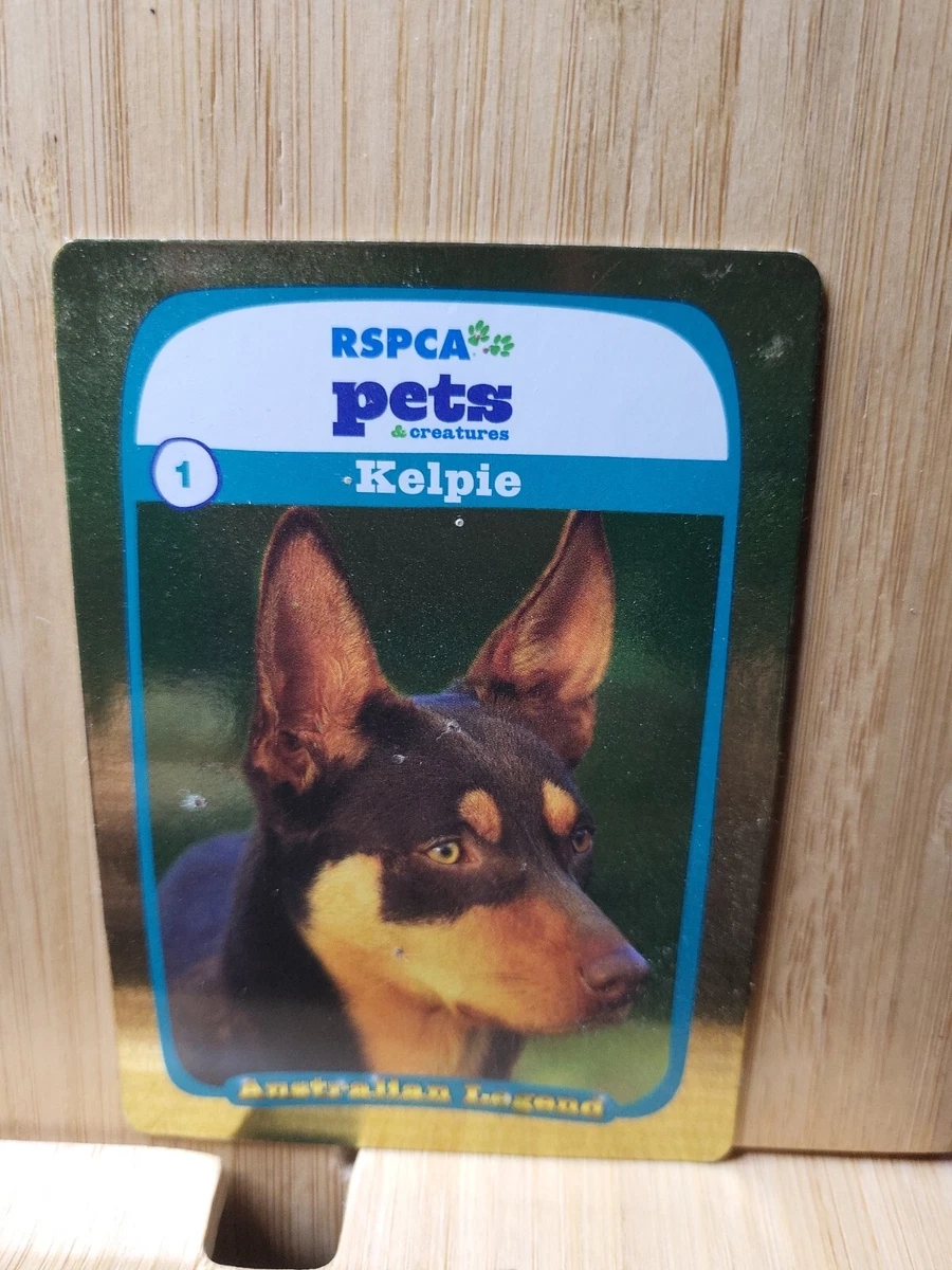 Trading 2025 post pets