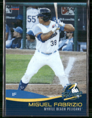 Miguel Fabrizio 2023 Myrtle Beach Pelicans Team Set