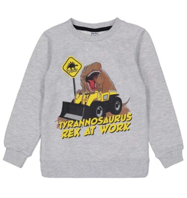 Jungen Sweatshirt Dino Pullover mit Tyrannosaurus Rex Print 98 104 110 116 K12