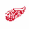 Detroit Red Wings Hockey Cards