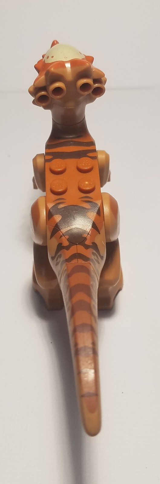 Picture 6 of 6