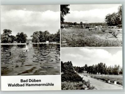 40109617 - 7282 Bad Dueben Forest Bath Hammermuehle Children's Playground 3-Picture Capture