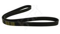 Hart 368 925 Keilrippenriemen FüR Fiat,Ford,Hyundai,Kia,Lexus,Toyota