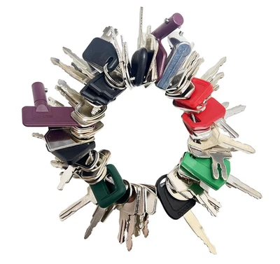 CARNFORTH 55Pcs Plant Key Set Universal Plant Dumper Machine Replacement Ignition Durable