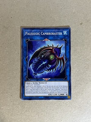 Paleozoic Cambroraster LIOV-EN047 Common 1st Edition Yugioh