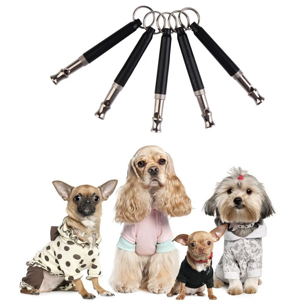Supersonic dog cheap training