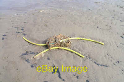 Photo 6x4 Flotsam on Theddlethorpe beach North End/TF4987 Three lengths  c2008