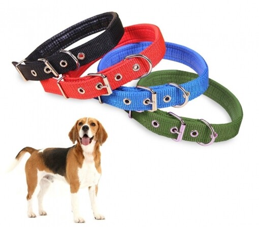 Collar Para Perros En Diferentes Colores (38 X 2 Cm)