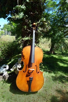 cello with case Mantagnana model. Eastman hard case.  