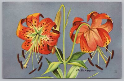Peterson~Turks Cap Lily~Lilium Superbum~c1957~Orange & Green~Long Stems~Postcard