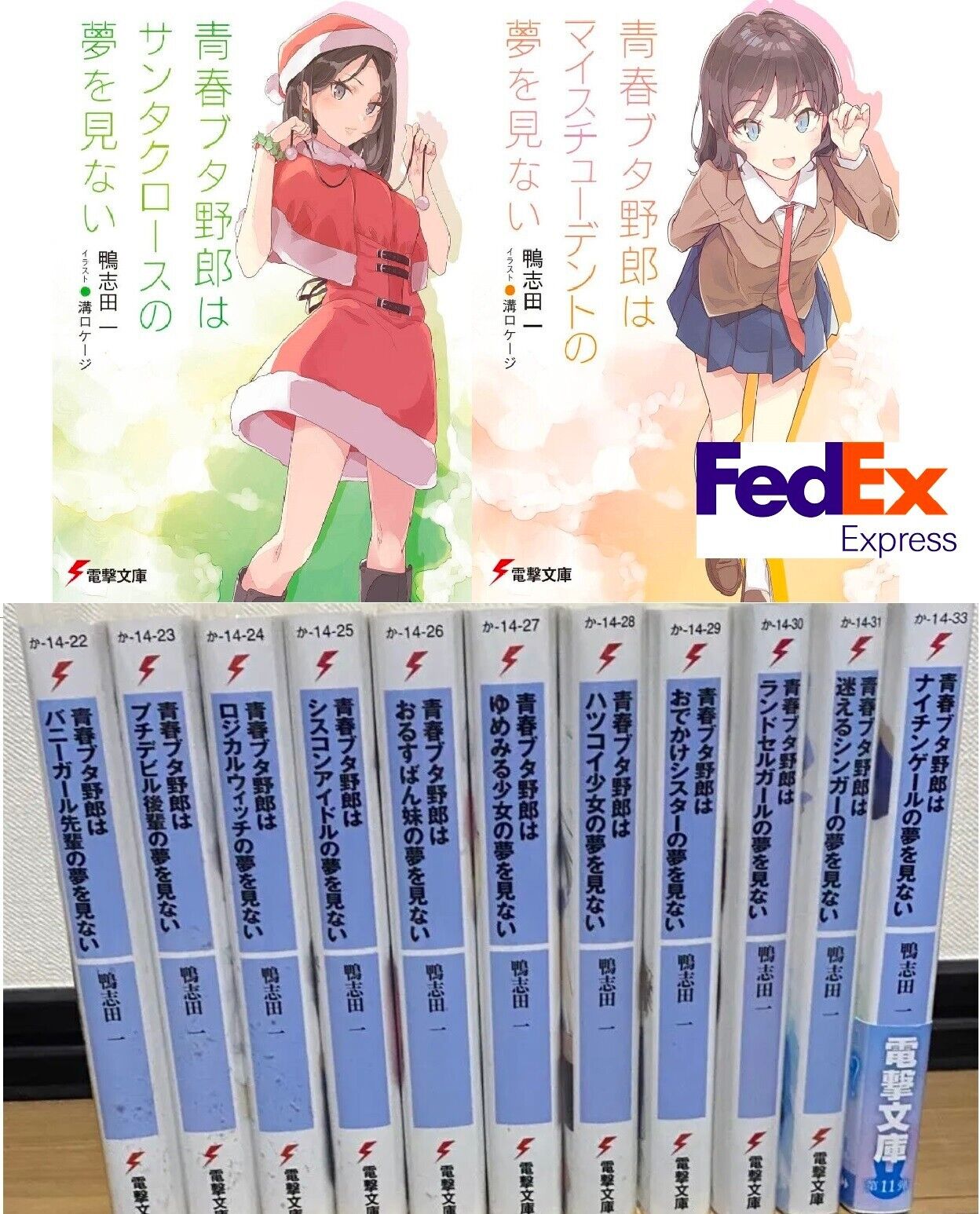 Rascal Does Not Dream of a Dreaming Girl (Seishun Buta Yarou wa Yumemiru  Shoujo no Yume wo Minai) 1 – Japanese Book Store