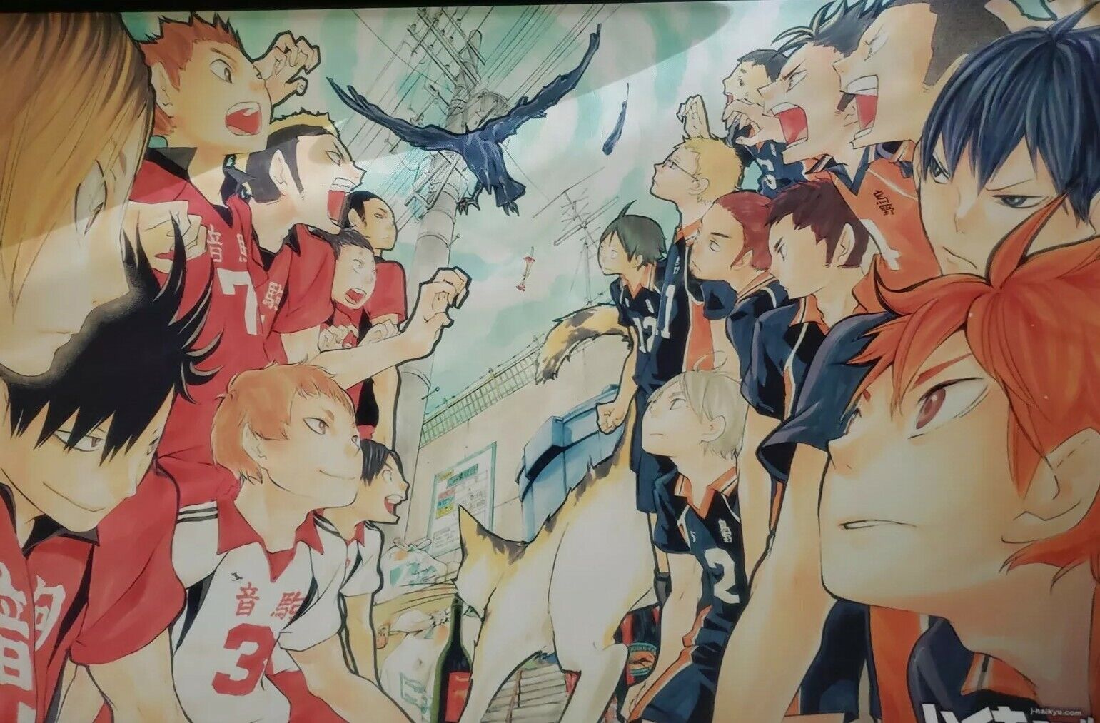 HAIKYU TAPESTRY wall scroll. USA SELLER! Karasuno high vs Nekoma high.  Anime.