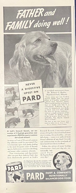 Cocker Spaniel Cute Nutrition Ad