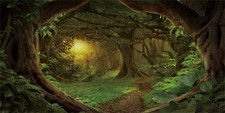 24x16 in Forest Terrarium Backdrop Green Tree Reptile Habitat Background